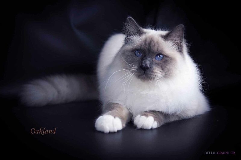 97154ecf ed3a 1a14 6503 e6924508d7b9 min