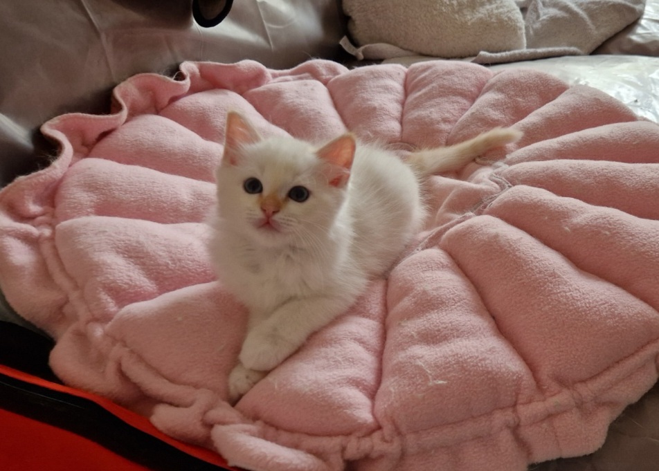 Resized 20240711 141033 1720701832284