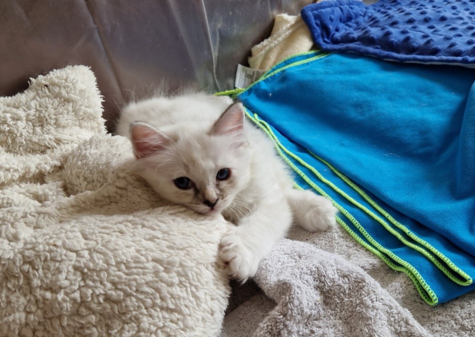 Resized 20240711 141042 1720701739909