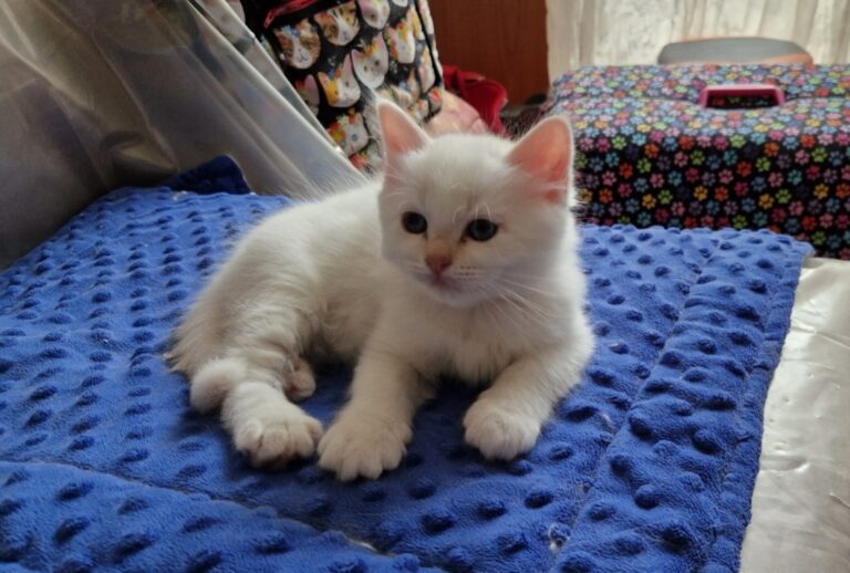 Resized 20240711 141047 1720701655758