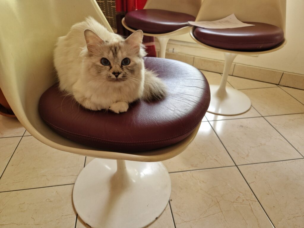 Thumbnail 20240712 155730