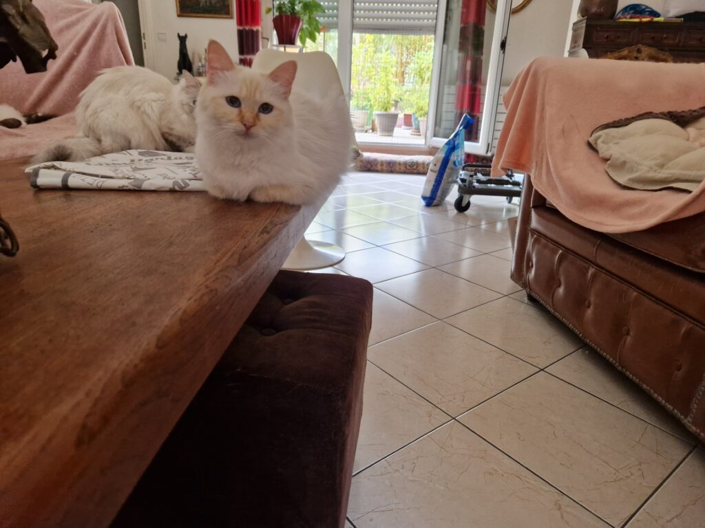 Thumbnail 20240712 160142