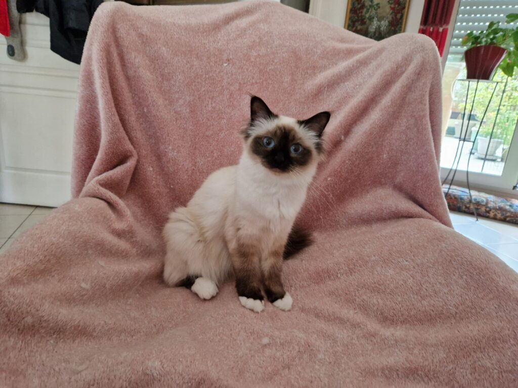 Thumbnail 20240712 160316