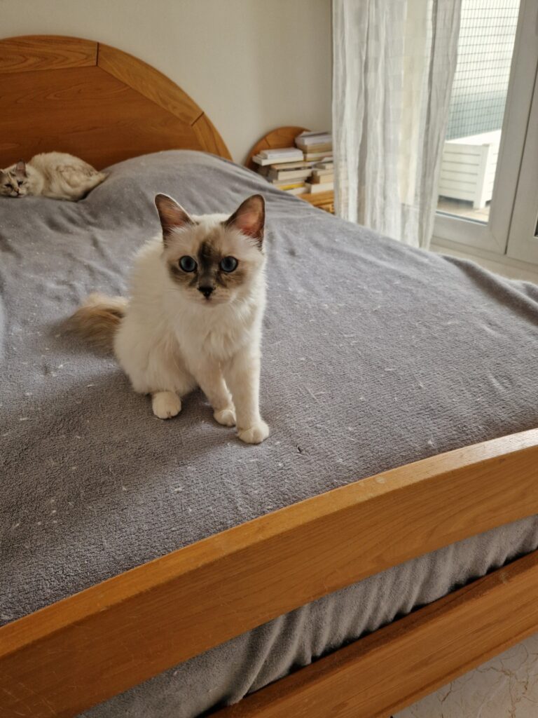 Thumbnail 20240715 155851